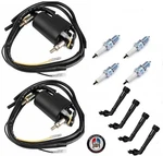 2X Ignition Coil + Spark Plug & Caps For Yamaha Fjr 1300 (2003-2012). Fixed Price $65.99.