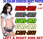 Can-am Canam Ryker Spyder Bpr Decals 2 Color 30 Choices. Fixed Price $24.00.