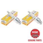 Genuine Ngk BR6HS (3922) Spark Plug - Pack. Fixed Price $10.49.