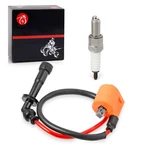 Ignition Coil & Spark Plug + Cap Cover For Suzuki Quadsport LTZ400Z. Fixed Price $13.49.
