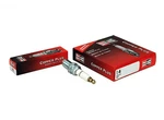 Champion RDZ19H Spark Plug Copper Plus 940 Package Of One. Fixed Price $9.99.