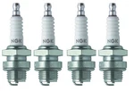 Ngk Set Of 4 Nickel Spark Plugs .028" (0.7MM). Fixed Price $23.95.