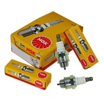 4PC Replaces Ngk Spark Plug AP19170 Power Clear 21 Snowblowers Stens 130-904-4. Fixed Price $21.99.
