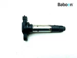 Ignition Coil Plugs Ducati 749 (38040081A). Fixed Price $77.20.