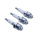 Ngk Spark Plug B6S, 3 Pack. Fixed Price $17.32.
