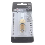 New Ngk Oem 5066 DIMR8B10 Spark Plug. Fixed Price $26.12.