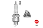 Ngk 6421 Spark Plug. Fixed Price $13.78.