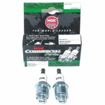 Ngk 4863 Spark Plug CS3 2-PACK. Fixed Price $8.95.