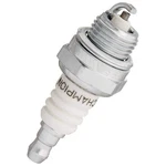 Champion Genuine Oem RCJ6Y Spark Plug. Fixed Price $8.95.