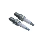 2X Spark Plug Champion RA59GC Fits Ducati Ignition System. Fixed Price $43.85.