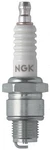 Spark Plug Ngk 4110. Fixed Price $8.76.