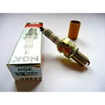 Ngk Platinum D9EVX Spark Plug. Fixed Price $14.64.