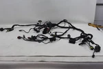 Ducati Panigale 959 Main Wiring Harness Loom Wire Plugs Relays 5101B071B. Fixed Price $194.99.