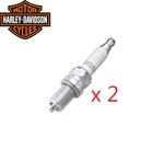 Genuine Harley Davidson Oem 6R12 Spark Plugs 99-17 Twin Cam 86-22 Xl 32362-04A. Fixed Price $34.90.