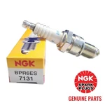 Genuine Oem Ngk BPR6ES (7131) Spark Plug. Fixed Price $9.99.