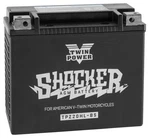 Twin Power Shocker Battery YTX20L-BS #GHDZ20HL-BS Harley Davidson. Fixed Price $129.29.