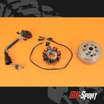 90-02 2002 XR200R Oem Stator Generator Flywheel Alternator Cdi Ecu Harness. Fixed Price $159.99.