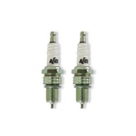 Accel Spark Plug Y2410P;. Fixed Price $55.10.