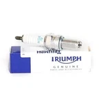 Triumph Genuine Oem Ngk Replacement Spark Plug - T1290745. Fixed Price $17.93.