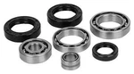 Balls Differential Bearing Kit Front (25-2028) 22-52028 AB25-2028 AB252028. Fixed Price $87.92.