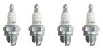 Genuine Oem Champion Part # CJ6Y; Spark Plug 4 Pack. Fixed Price $15.57.