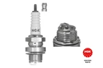 Ngk 2910 Spark Plug For Auto Union. Fixed Price $17.63.