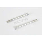 Colony Cadmium 2-BRUSH Generator Screws 8878-2. Fixed Price $19.37.