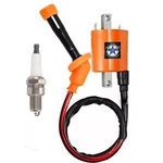 Ignition Coil +spark Plug For Suzuki Ls 650 Savage 1986-1988, 1995-2004. Fixed Price $29.99.