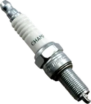 Champion Spark Plug RG6YC Compatible With Various Models - Premium Quality. Fixed Price $6.95.