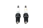 Acdelco FR3LS, 5613796 Spark Plugs Qty 2 Nos. Fixed Price $6.48.