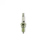 Accel Y2418P Spark Plugs - Platinum Twin Cam .040 In. Gap Pack. Fixed Price $38.43.