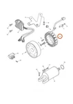 Triumph T1300148 - Genuine Oem Alternator Spares Kit (stator). Fixed Price $810.44.